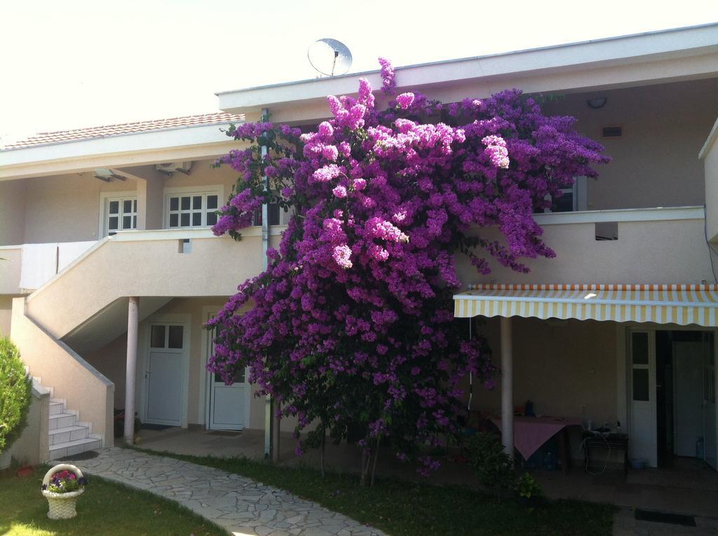 Apartments Ada Bojana Ulcinj Bilik gambar