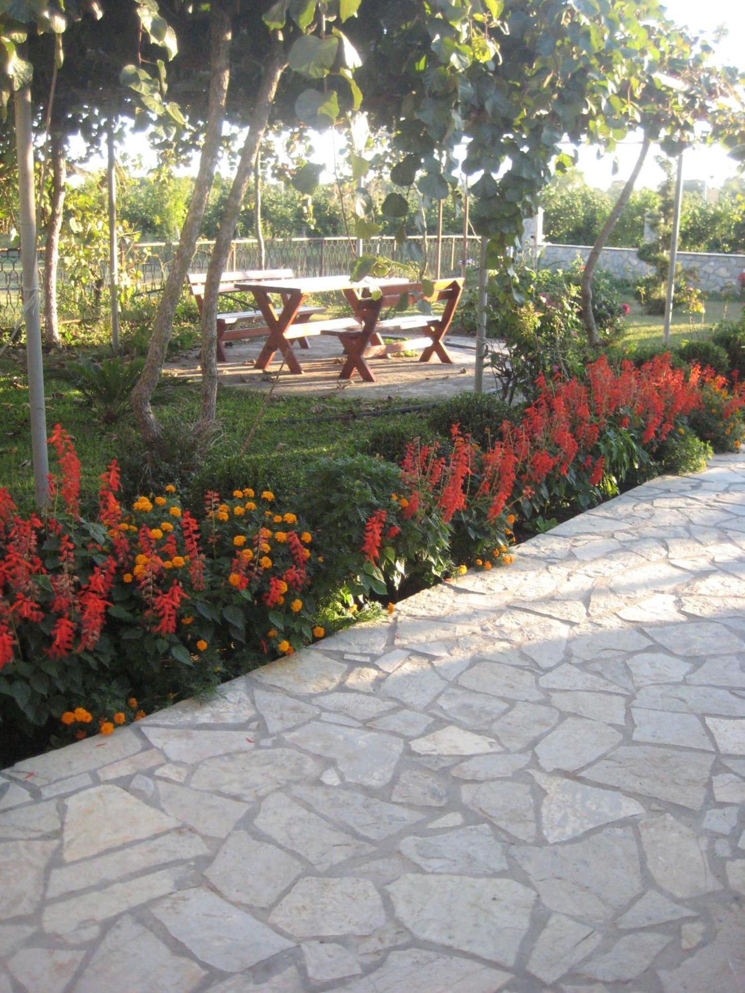 Apartments Ada Bojana Ulcinj Luaran gambar